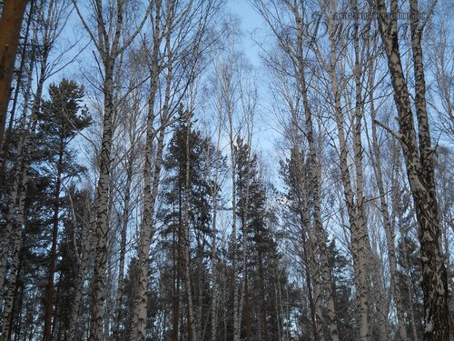 DSCN0106_r